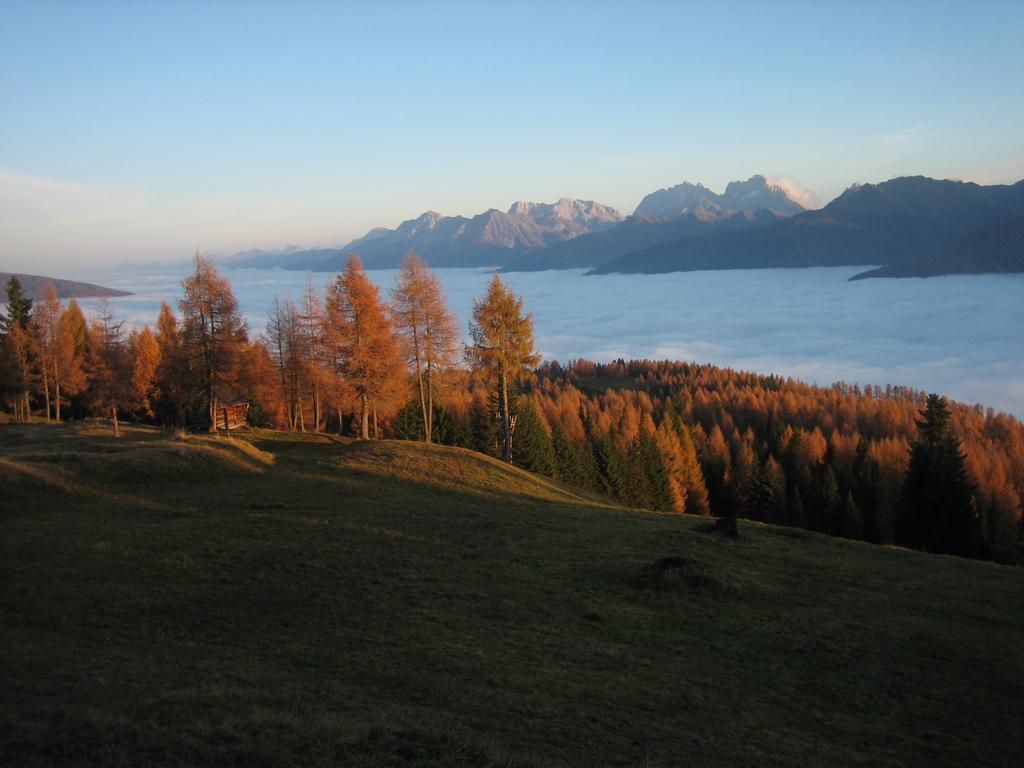 Bauernhof Im Wiesengrund Apartment มาริอาลุกเกา ภายนอก รูปภาพ